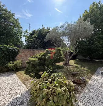 Foto annuncio 34