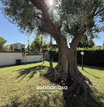 Foto annuncio 44