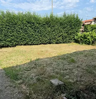 Foto annuncio 7