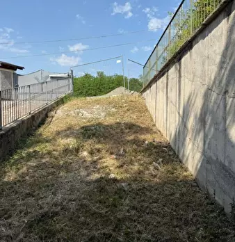 Foto annuncio 26