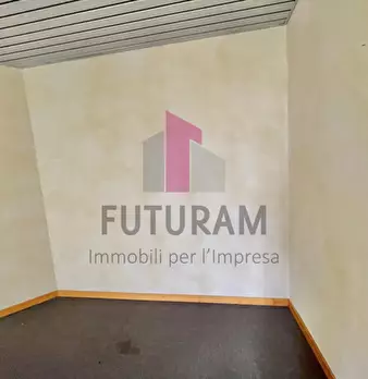 Foto annuncio 11
