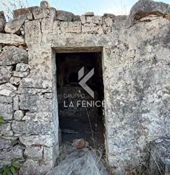 Foto annuncio 11