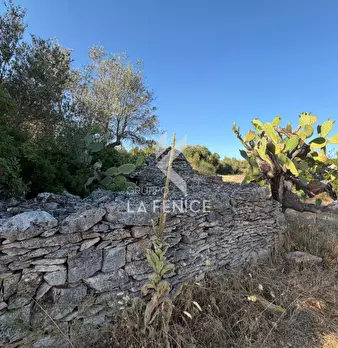 Foto annuncio 22
