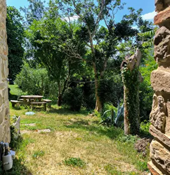 Foto annuncio 25