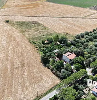 Foto annuncio 11