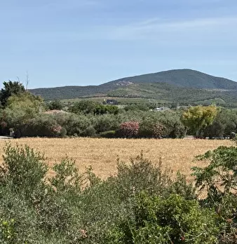 Foto annuncio 14