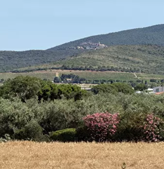 Foto annuncio 15