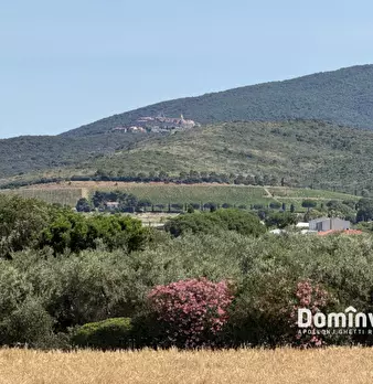 Foto annuncio 16