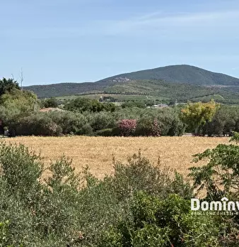 Foto annuncio 17