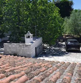 Foto annuncio 31