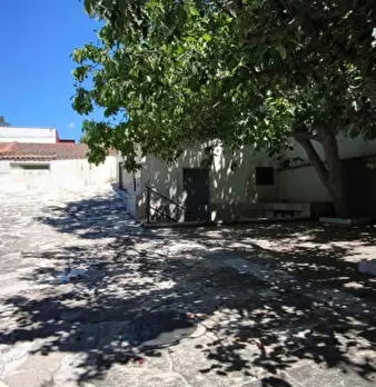 Foto annuncio 32