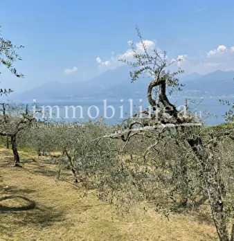 Foto annuncio 9