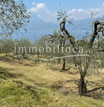 Foto annuncio 11