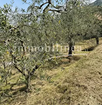 Foto annuncio 13