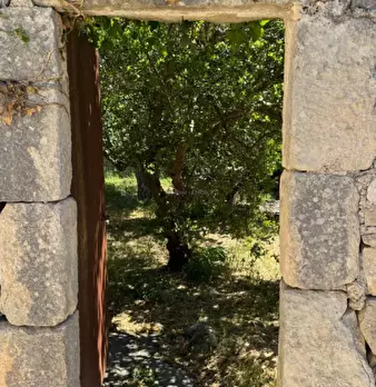 Foto annuncio 34