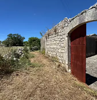 Foto annuncio 42