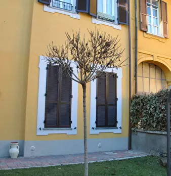 Foto annuncio 2