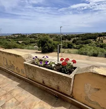 Foto annuncio 46