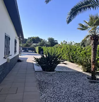 Foto annuncio 25
