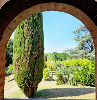 Foto annuncio 7