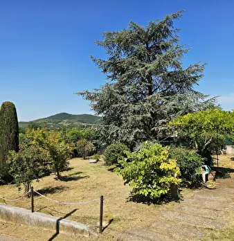 Foto annuncio 8