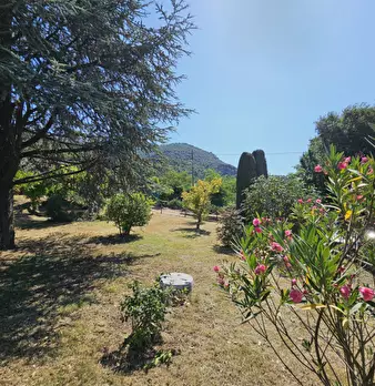 Foto annuncio 9