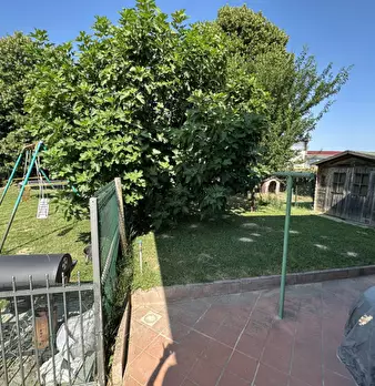 Foto annuncio 36