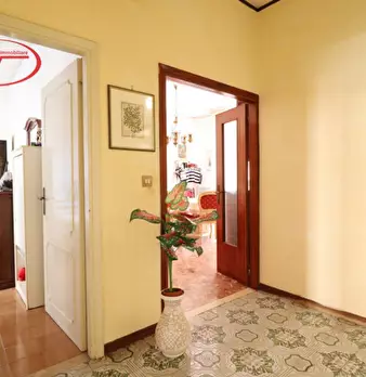 Foto annuncio 13