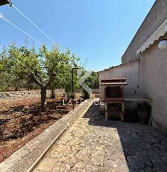 Foto annuncio 37