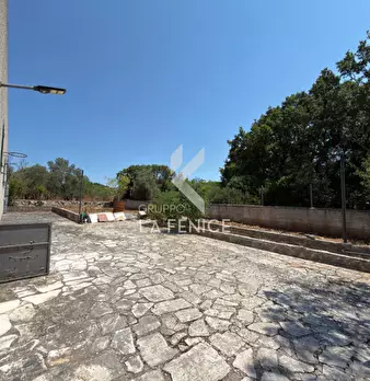 Foto annuncio 38