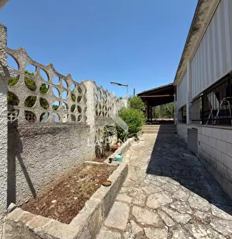 Foto annuncio 41