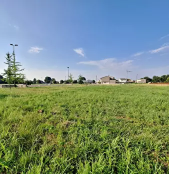 Foto annuncio 3