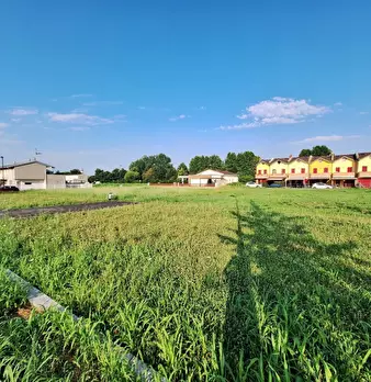 Foto annuncio 6