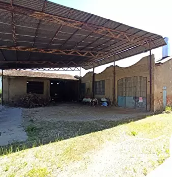 Foto annuncio 27