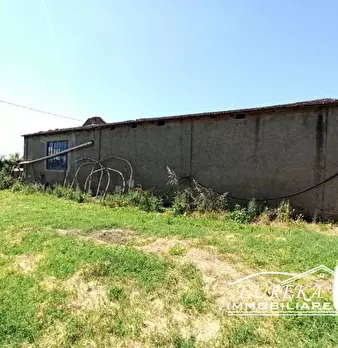 Foto annuncio 29