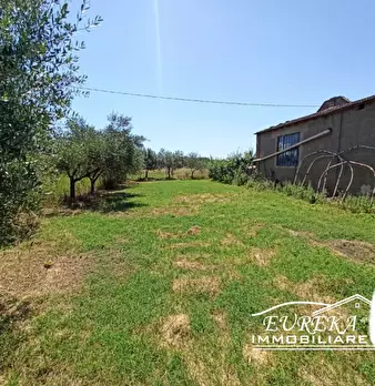 Foto annuncio 31
