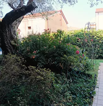Foto annuncio 55