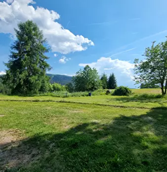 Foto annuncio 29