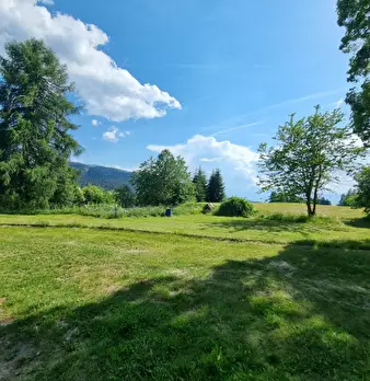 Foto annuncio 33