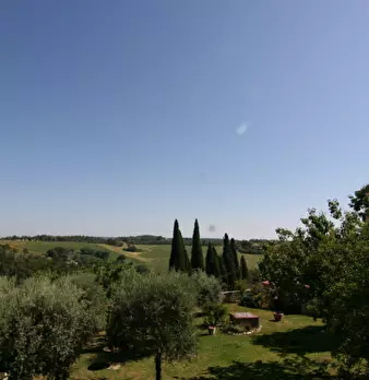 Foto annuncio 15