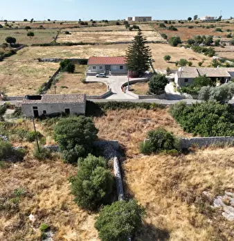 Foto annuncio 8