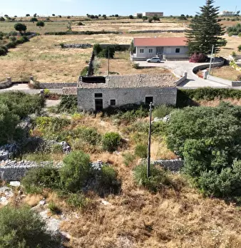 Foto annuncio 10