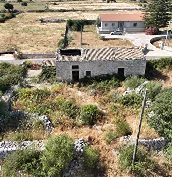 Foto annuncio 11