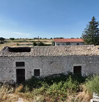 Foto annuncio 12