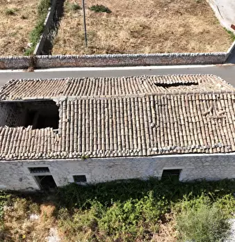 Foto annuncio 14