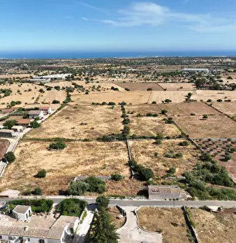 Foto annuncio 17