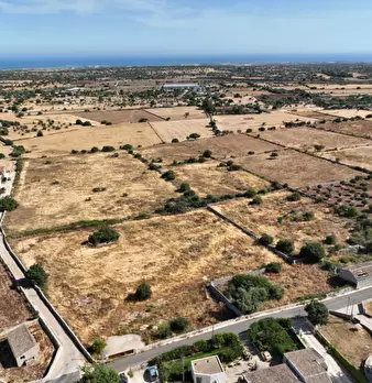 Foto annuncio 19