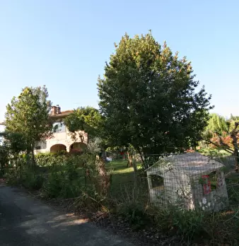 Foto annuncio 2