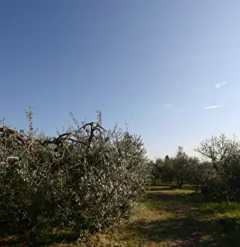 Foto annuncio 3