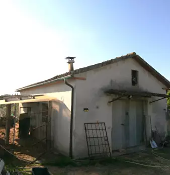 Foto annuncio 4